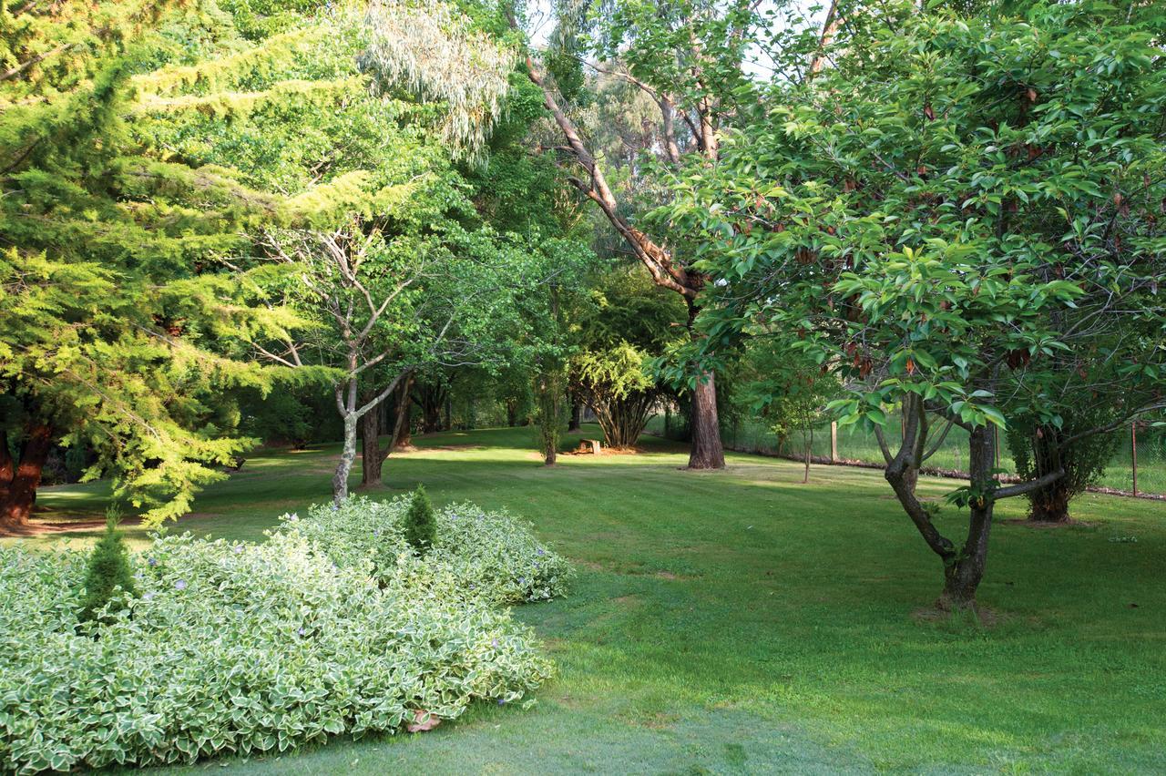 Clifton Gardens Bed & Breakfast - Orange Exteriör bild